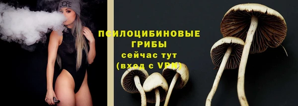 PSILOCYBIN Баксан