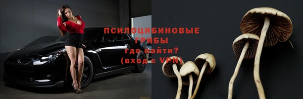 PSILOCYBIN Баксан