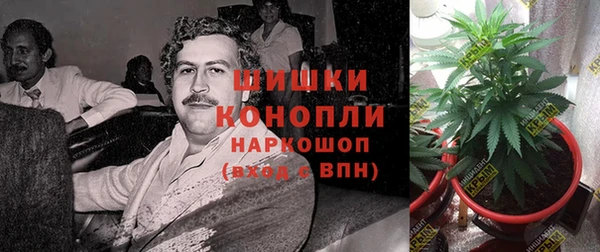 PSILOCYBIN Баксан