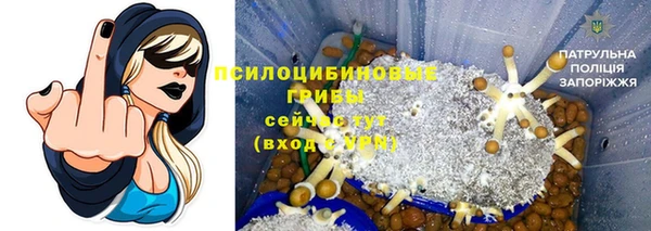 PSILOCYBIN Баксан