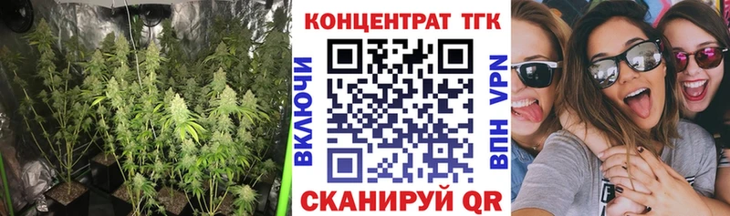 ТГК концентрат Пересвет