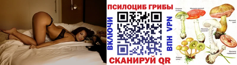 где найти наркотики OMG ссылка Псилоцибиновые грибы прущие грибы Пересвет